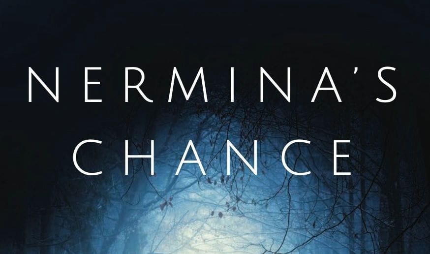 Promocija knjige "Nerminina šansa" autorice Dine Greenberg